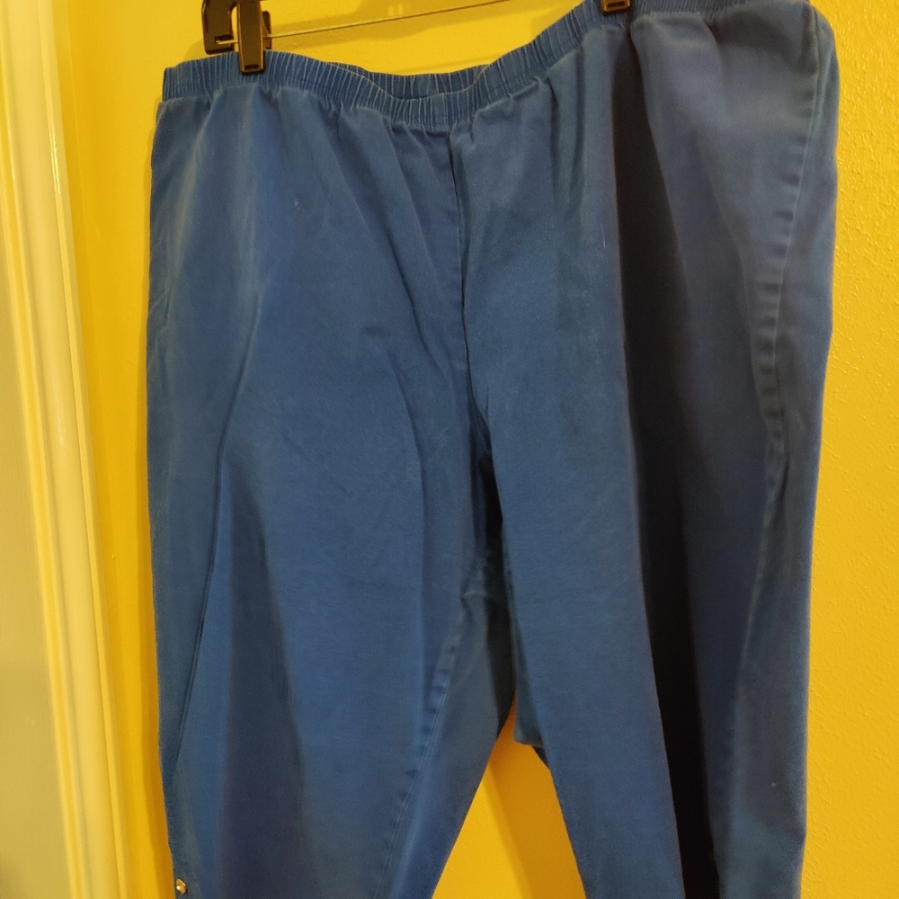 4X Blue Capri Pants